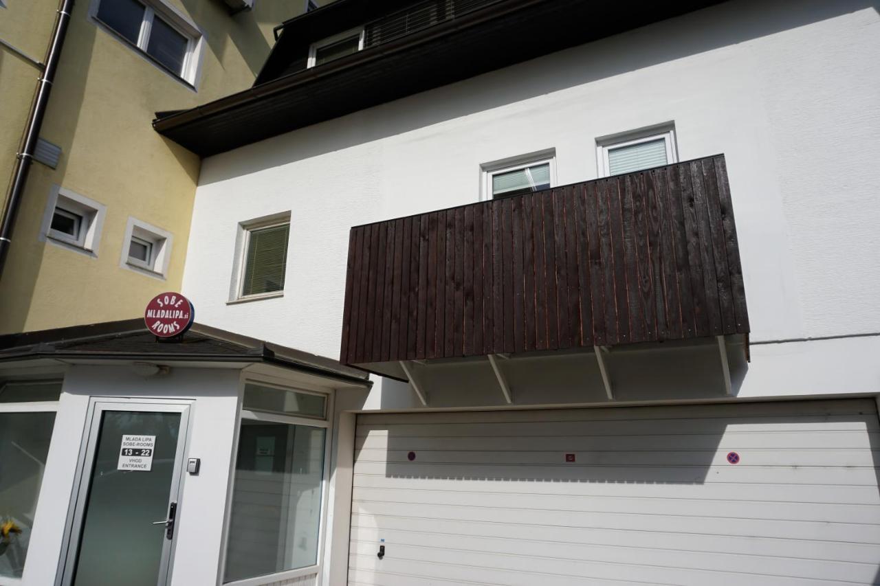 Guest House Mlada Lipa Maribor Eksteriør billede